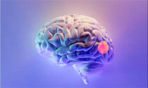 طراحی دارویی به صورت قطره بینی برای حذف تومورهای مغزی