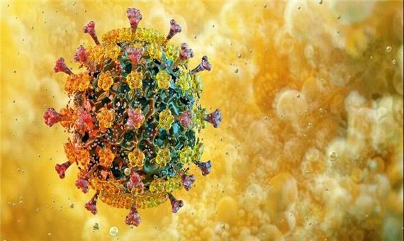 مقاومت آنفلوانزای پرندگان در برابر تب، دانشمندان را نگران کرد