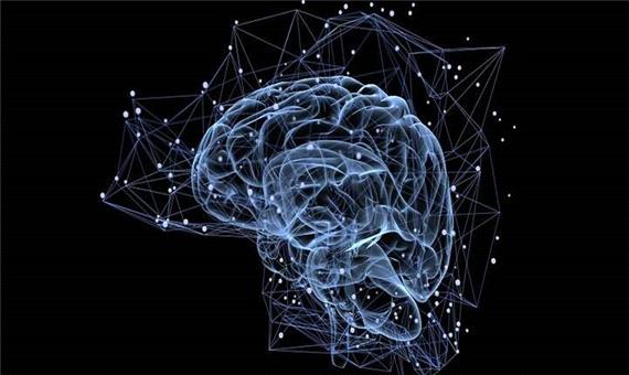 مداری پنهان در مغز دید بصری ما را بازنویسی می‌کند