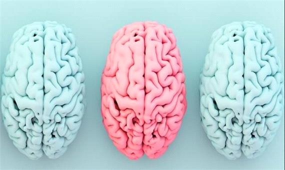 ارتباط شگفت‌انگیز میان یک ماده مغذی کلیدی، چاقی و خطر آلزایمر