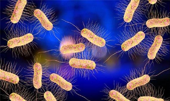 باکتری‌ها هم نساج شدند و هم رنگرز!