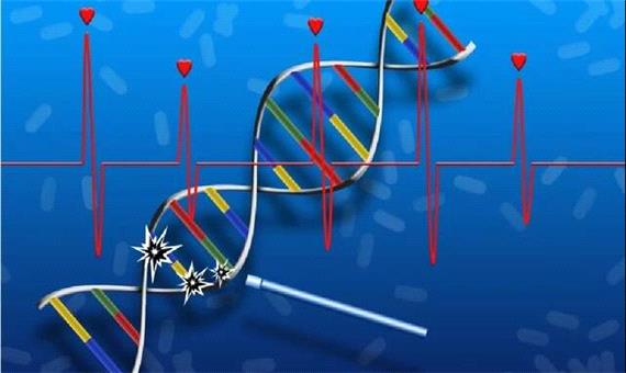 ابداع اولین داروی ترمیم DNA و بازسازی بافت آسیب‌دیده