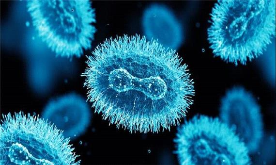 هوش مصنوعی پاشنه آشیل آبله میمونی را پیدا کرد