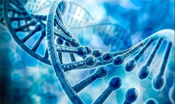 کشف یک جهش ژنتیکی که به بیماری‌های قلبی و عصبی منجر می‌شود