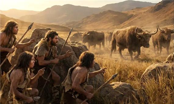 یک ویژگی شگفت‌انگیز به بقای انسان خردمند کمک کرد و نئاندرتال‌ها را به انقراض کشاند