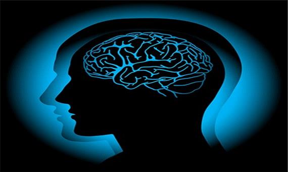 مینی‌مغزها راز اسکیزوفرنی و دوقطبی را فاش کردند