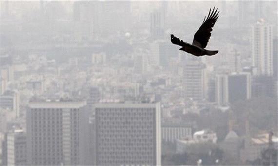 وقتی یخ، هوا و آلودگی دست‌به‌دست هم می‌دهند