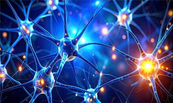 کشف یک زبان پنهان در مغز