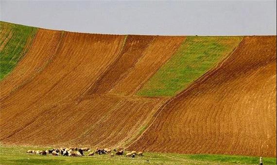 خاک، قربانی خاموش تبدیل مراتع به زمین‌های کشاورزی