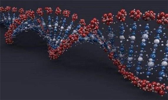 دستیابی به دانش فنی تولید حسگرهای شیمیایی به همت دانش آموخته دانشگاه تربیت مدرس
