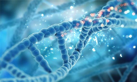 DNA در نقش معمار نانو؛ راهی تازه برای طراحی سه‌بعدی مواد پیشرفته