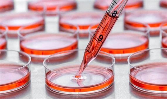 چاپ سه بعدی داخل سلول زنده ممکن شد