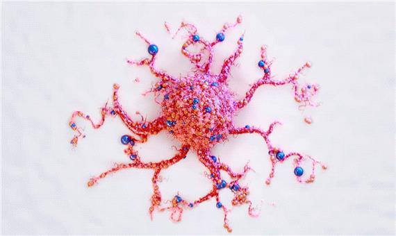 نانوذراتی که سرطان را غافلگیر کرد؛ بیدارباش سیستم ایمنی علیه ملانوما