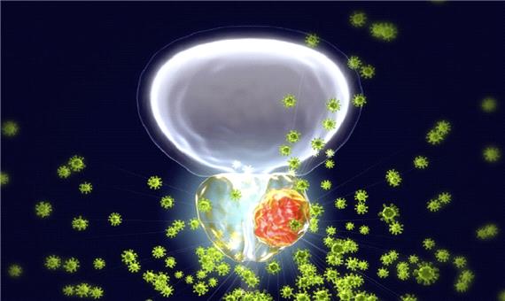 ارتباط نگران‌کننده بین آلودگی هوا و افزایش خطر ابتلا به سرطان پروستات