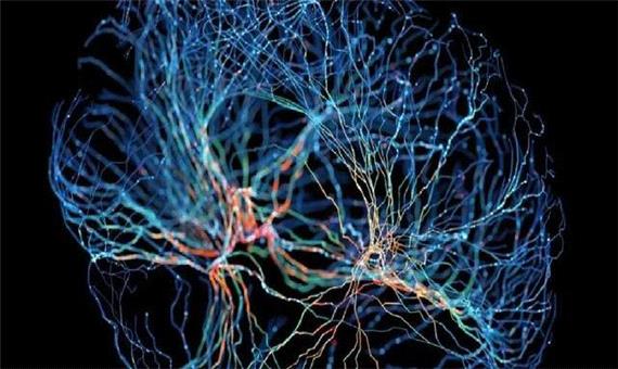 پیوند علوم اعصاب و هوش مصنوعی از طریق نانوکانال‌ها