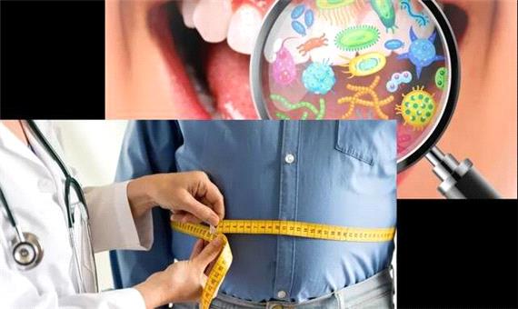 میکروب‌های دهان می‌توانند کلید پیشگیری از چاقی باشند