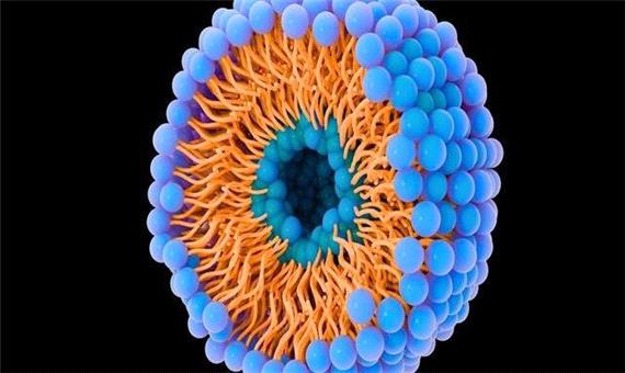 کمک حباب‌ها به سرطان برای حمله و توقف!