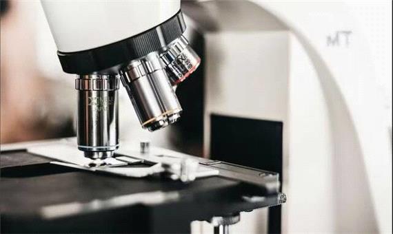 رتبه‌های برتر ایران در ژن‌تراپی و ویرایش ژن