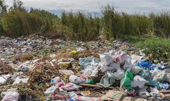 پلاستیک‌ها 83 میلیون سال زندگی سالم را ربودند