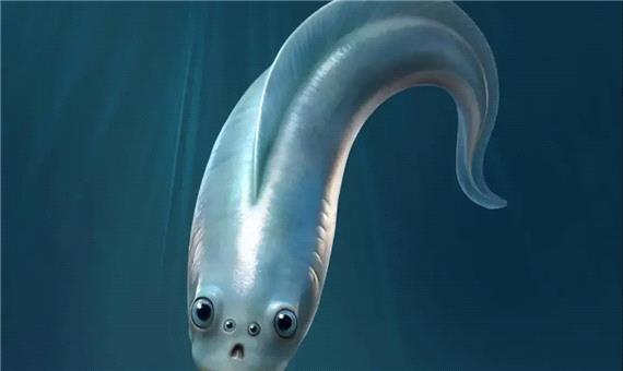 اجداد مهره‌دار ما احتمالاً چهار چشم داشتند