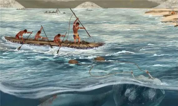 بازنویسی تاریخ شکار نهنگ؛ بومیان برزیل 5هزار سال پیش شکارچی غول‌های اقیانوس بودند