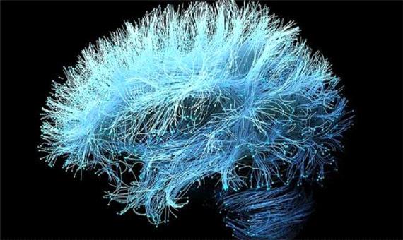 رقیب جدید نورالینک با امواج فراصوت وارد میدان شد