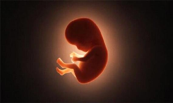 سقط جنین از نگاه مردان؛ روایتی کمتر شنیده‌شده