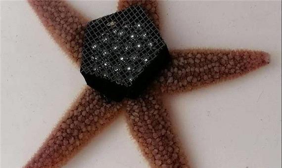 حرکت با صدها پا و بدون مغز؛ معمایی که رباتیک را متحول می‌کند