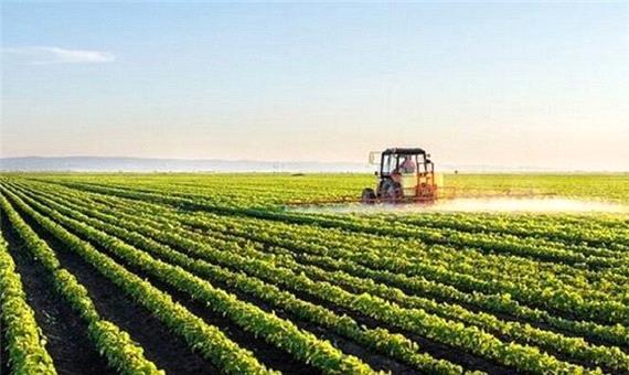 رفع تنگناهای فناورانه برای کاهش وابستگی در حوزه غذا و کشاورزی