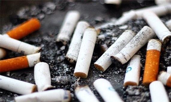 فیلتر سیگار ناجی انرژی پاک شد!