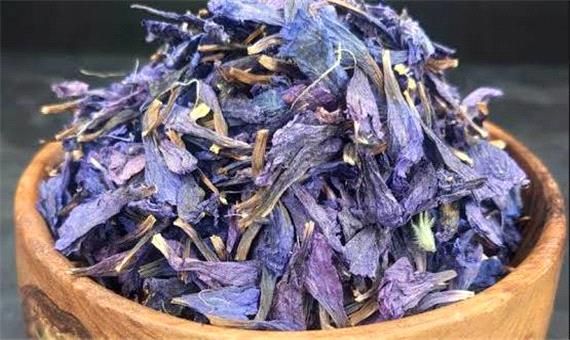 دستاورد تازه در ارزیابی پایداری دمنوش گل گاوزبان