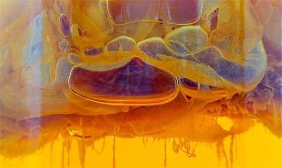 نظریه جدیدی درباره حیات، قبل از به وجود آمدن سلول‌ها