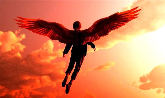 اگر انسان بال داشته باشد چه تغییراتی در مغز رخ می‌دهد؟