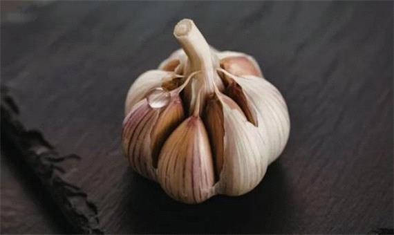 سیر یک سلاح مخفی در برابر پشه‌ها است