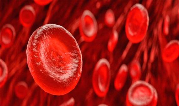 سلول‌های خونی انسان 700 میلیون سال قدمت دارند!
