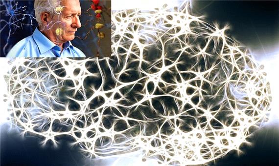 عامل زوال عقل و آلزایمر، «ترافیک پروتئین» است