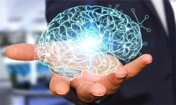 خبر خوش برای فناوران علوم شناختی؛ حمایت بدون سقف از طرح‌های فناوری