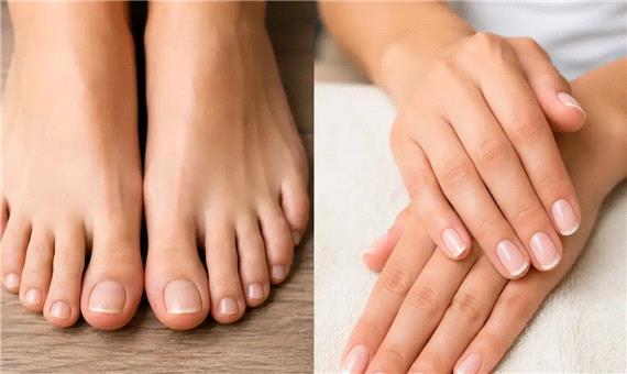 پاسخ یک سؤال قدیمی: چرا ناخن‌های دست همیشه زودتر از ناخن‌های پا بلند می‌شوند؟