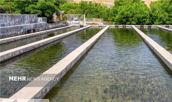 توسعه شیلات بوشهر با تکیه بر سرمایه‌گذاری و فناوری‌های نوین