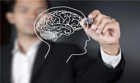 بازسازی مغز با 2 ساعت سکوت در روز