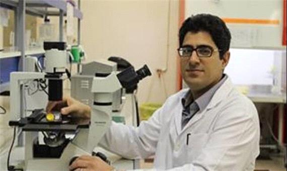 برگزاری کنگره سلول‌های بنیادی با تمرکز بر پزشکی بازساختی و درمان سرطان | آخرین خبر