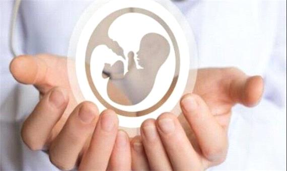 لزوم شفافیت علمی و کاهش هزینه‌های غیرضروری زوجین در مسیر درمان ناباروری | آخرین خبر