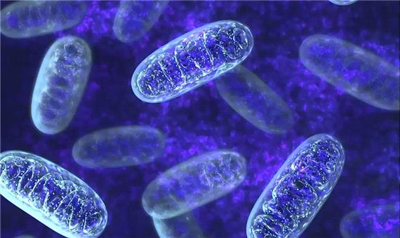 دانشمندان برای نخستین‌بار میتوکندری‌های پای یک بیمار را به چشمانش تزریق کردند | آخرین خبر