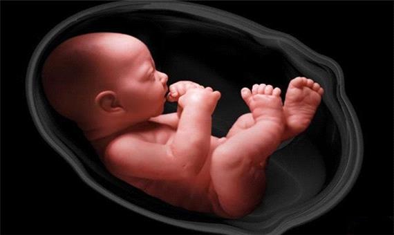 خطر پنهان ویپ برای جنین؛ آزمایش‌ها چه چیزی را نشان دادند؟ | آخرین خبر