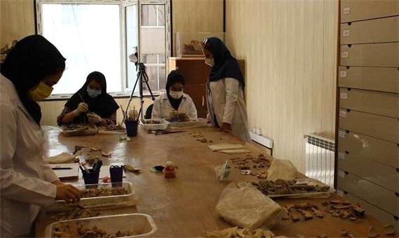 فرضیه‌های فلات ایران پیش از ماد دگرگون شد
