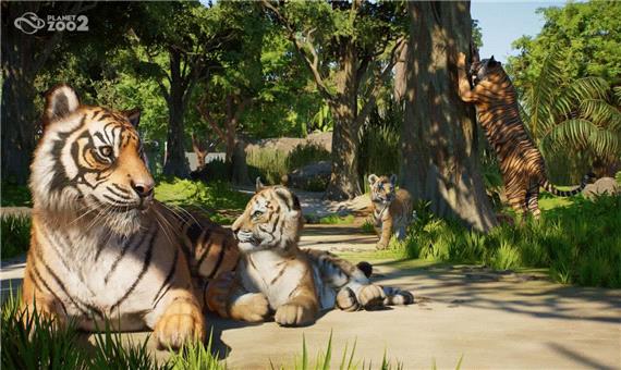 تریلر جدیدی از Planet Zoo 2 منتشر شد؛ نگاهی تازه به حیات‌وحش در جنگل‌های سوماترا