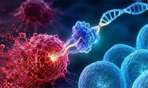 نتایج امیدوارکننده یک درمان جدید در از بین بردن سرطان خون