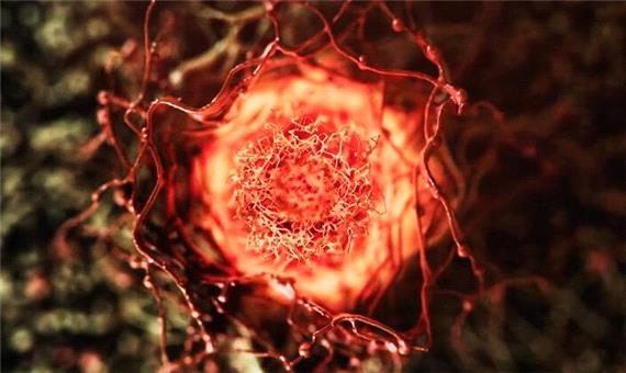 دارویی که تمام نشانگرهای سرطان را از بین برد