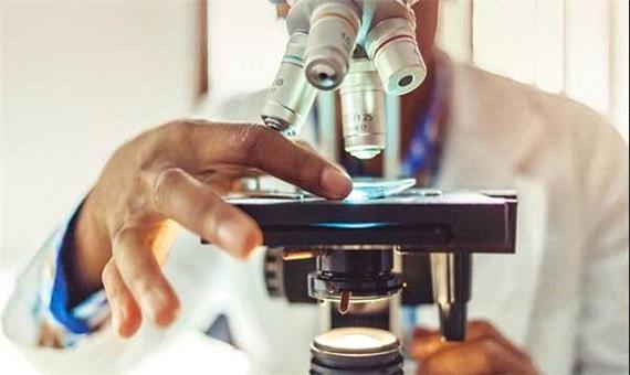 استفاده از قارچ خوراکی برای تبدیل پسماندهای صنعتی به محصولات باارزش