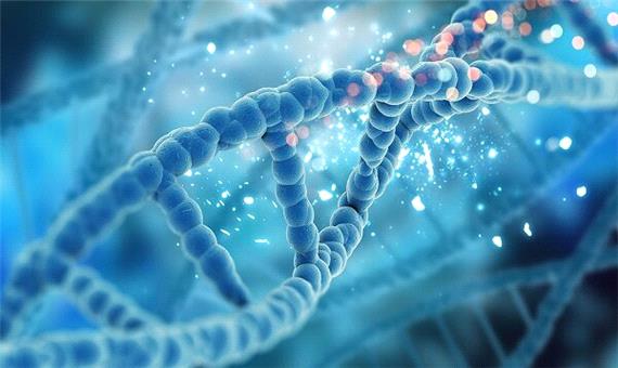 ساخت رایانه‌ای مبتنی بر DNA؛ محاسبات بدون نیاز به برق مداوم
